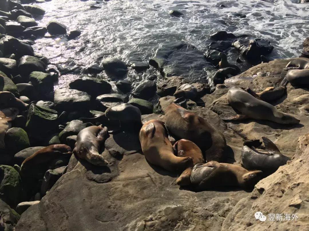 上帝的宠儿英语名,上帝的宠儿英语名字