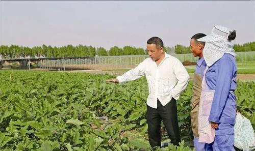 贫穷限制了我的想象力迪拜,三个你不知道的迪拜真相