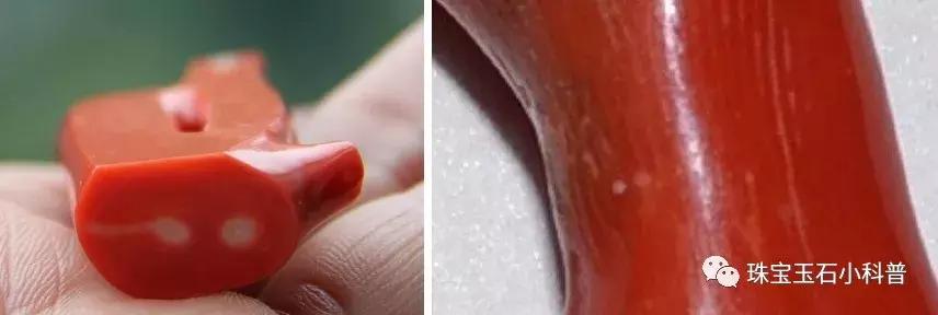 海底红珊瑚图片大全,千年珊瑚