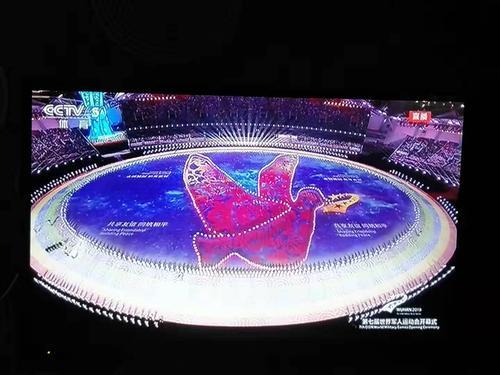 军运会会徽图案,2019军运会开幕式巨型国旗