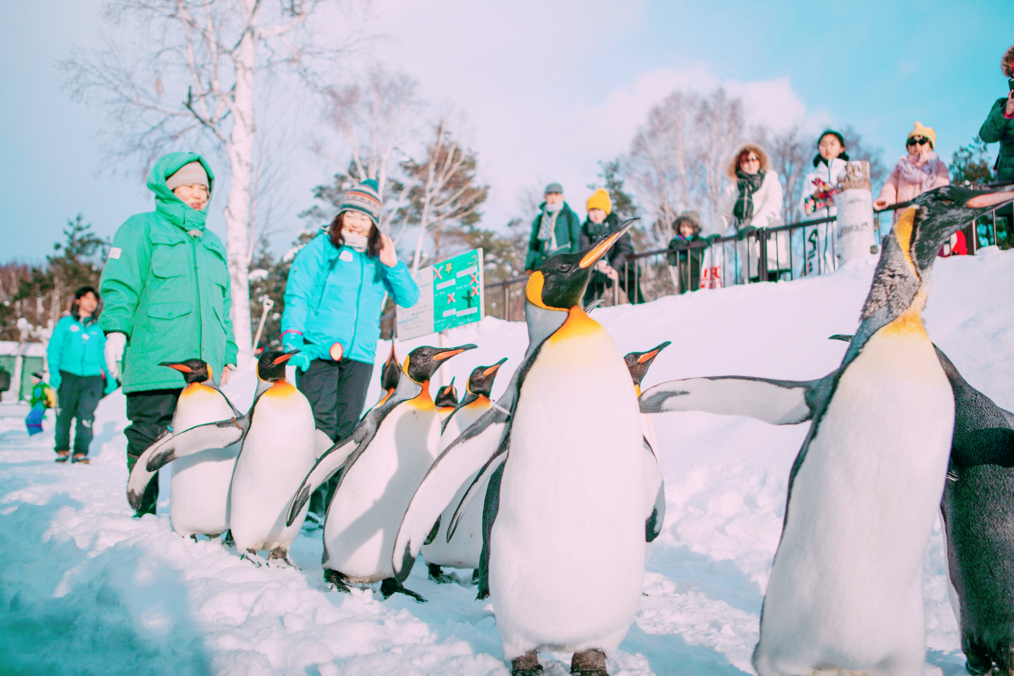 日本人怎样取暖过冬,日本人冬天怎么去取暖
