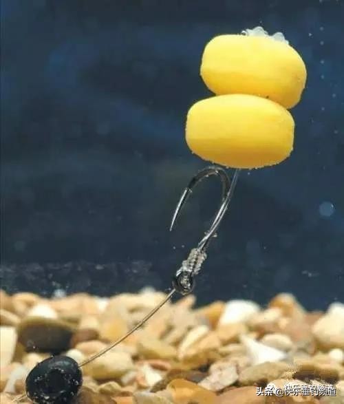 传统钓法十大绝密配方,民间传统钓法图解