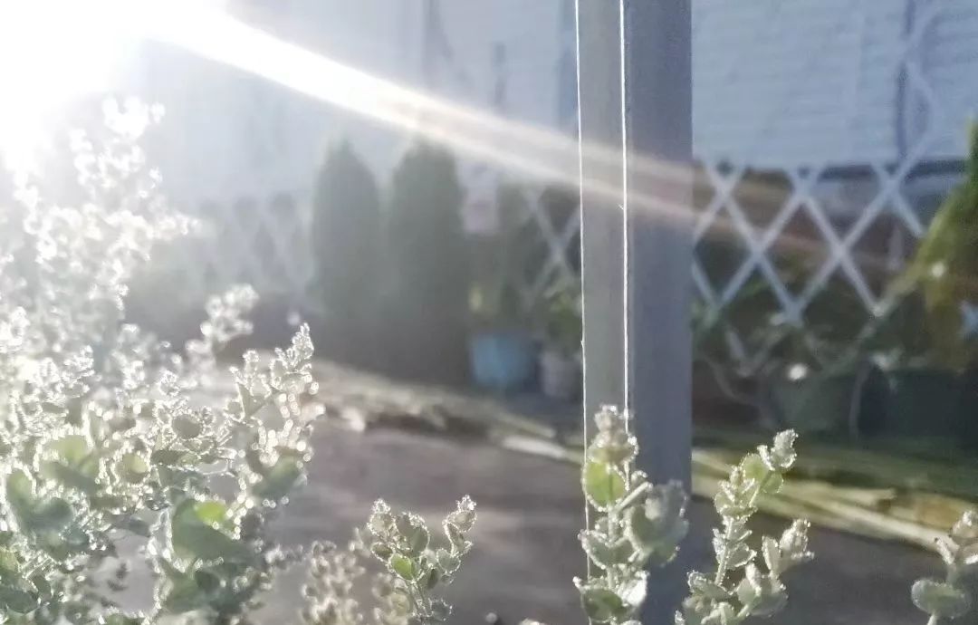 肿瘤与糖尿病——浅谈中医的认识学（诺贝尔奖医学峰会实录）