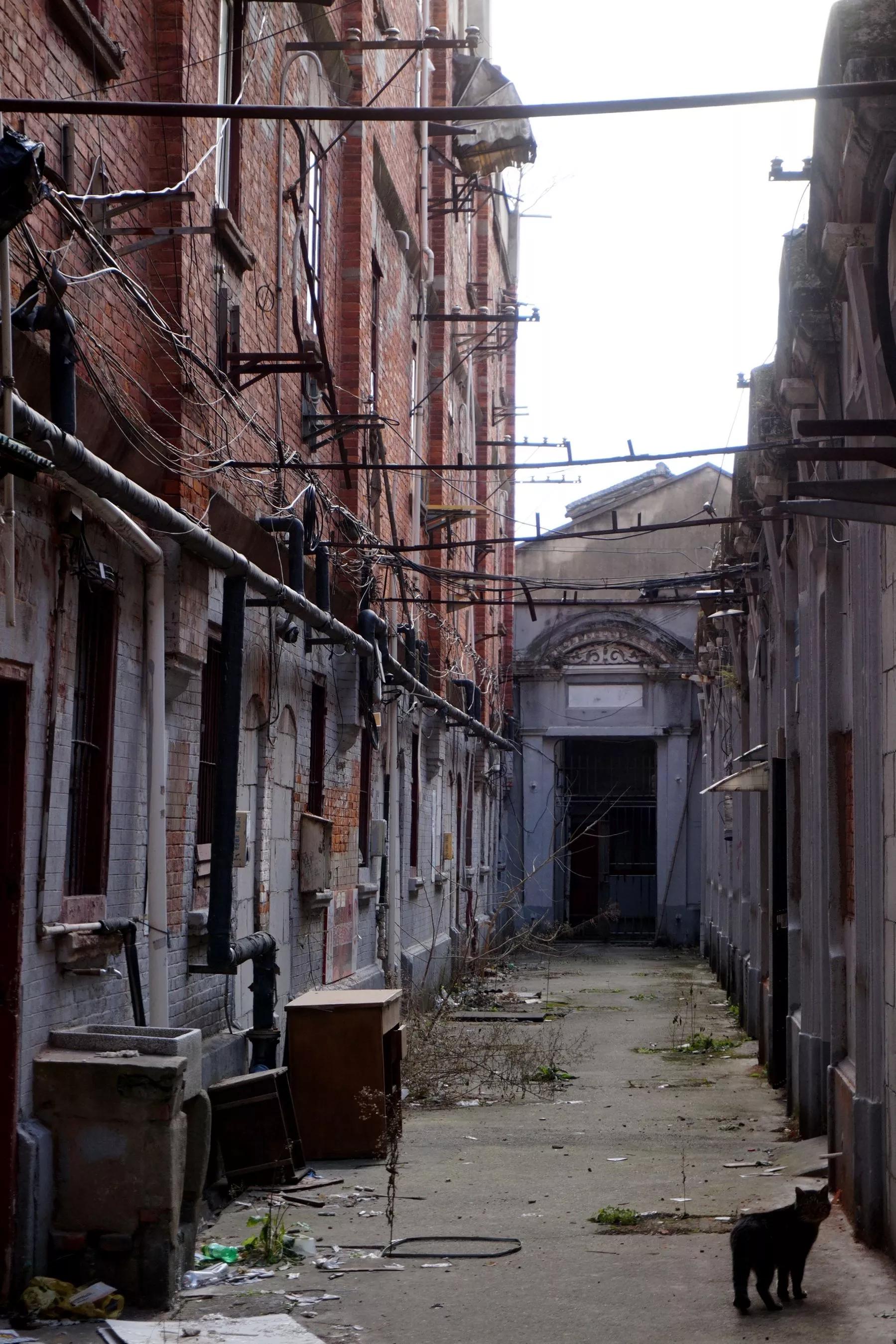 挥挥手不留痕迹,挥挥手不带走一粒尘土