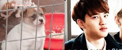 被防狼喷雾喷了眼睛会瞎吗,被防狼喷雾喷到的后果