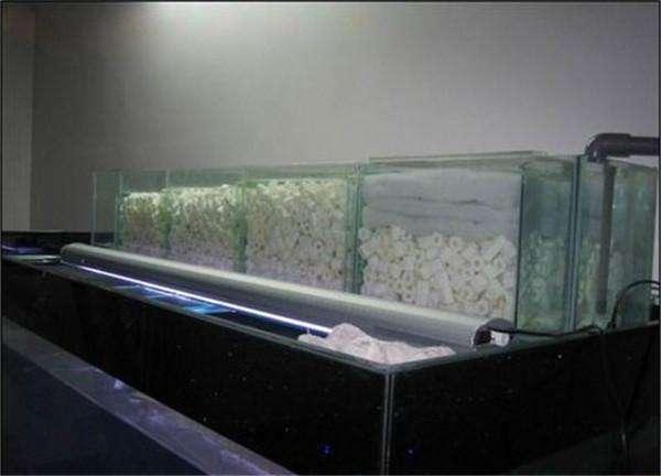 鱼缸物理过滤没有过滤棉,鱼缸物理过滤和生化过滤哪个重要