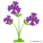 成人看图学英语之各种类型的花