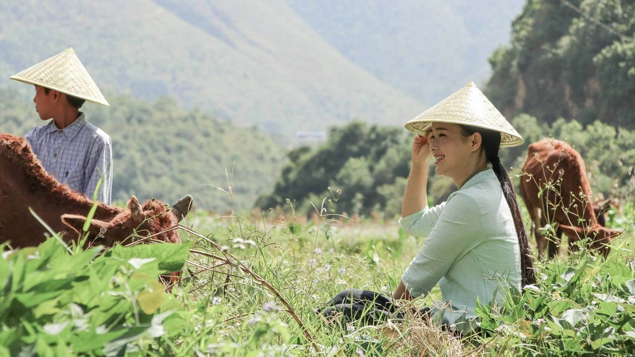 农村姑娘创业赚钱,农村女孩三次创业赚700万