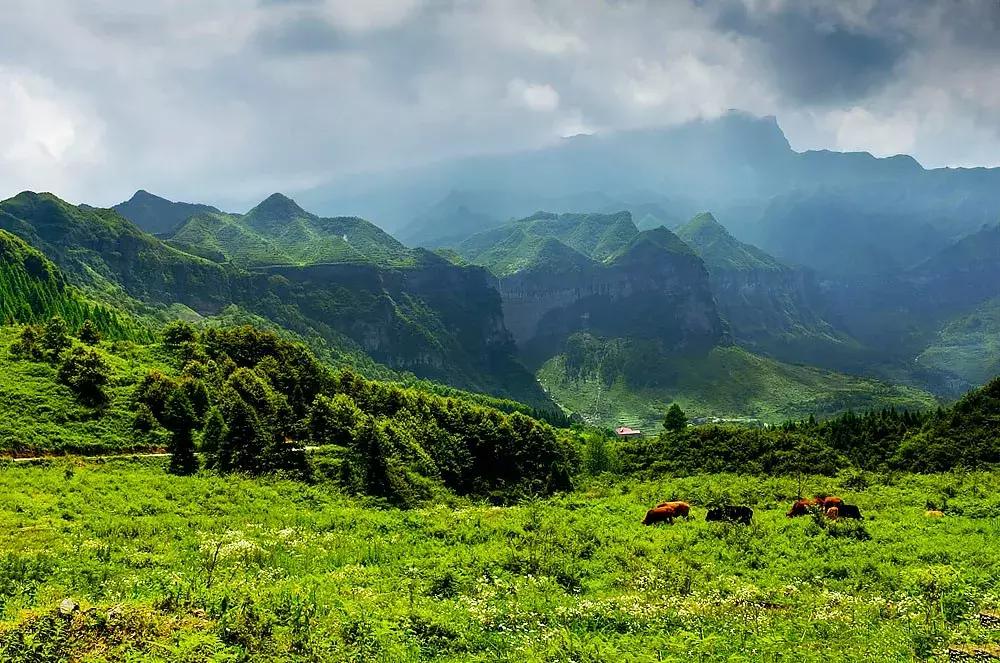 金佛山马嘴二日游攻略,金佛山西门一日游攻略和费用