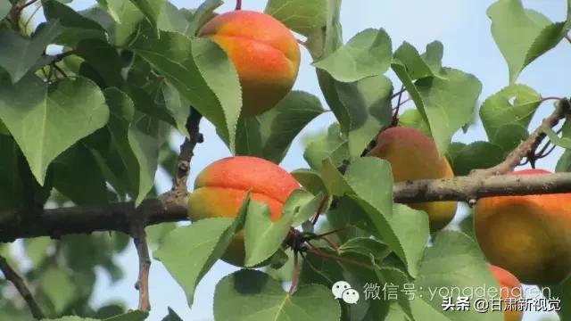 甘肃兰州最大的区,兰州最大的区是哪个区