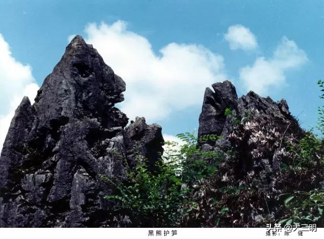 永安各大景区景点恢复开放