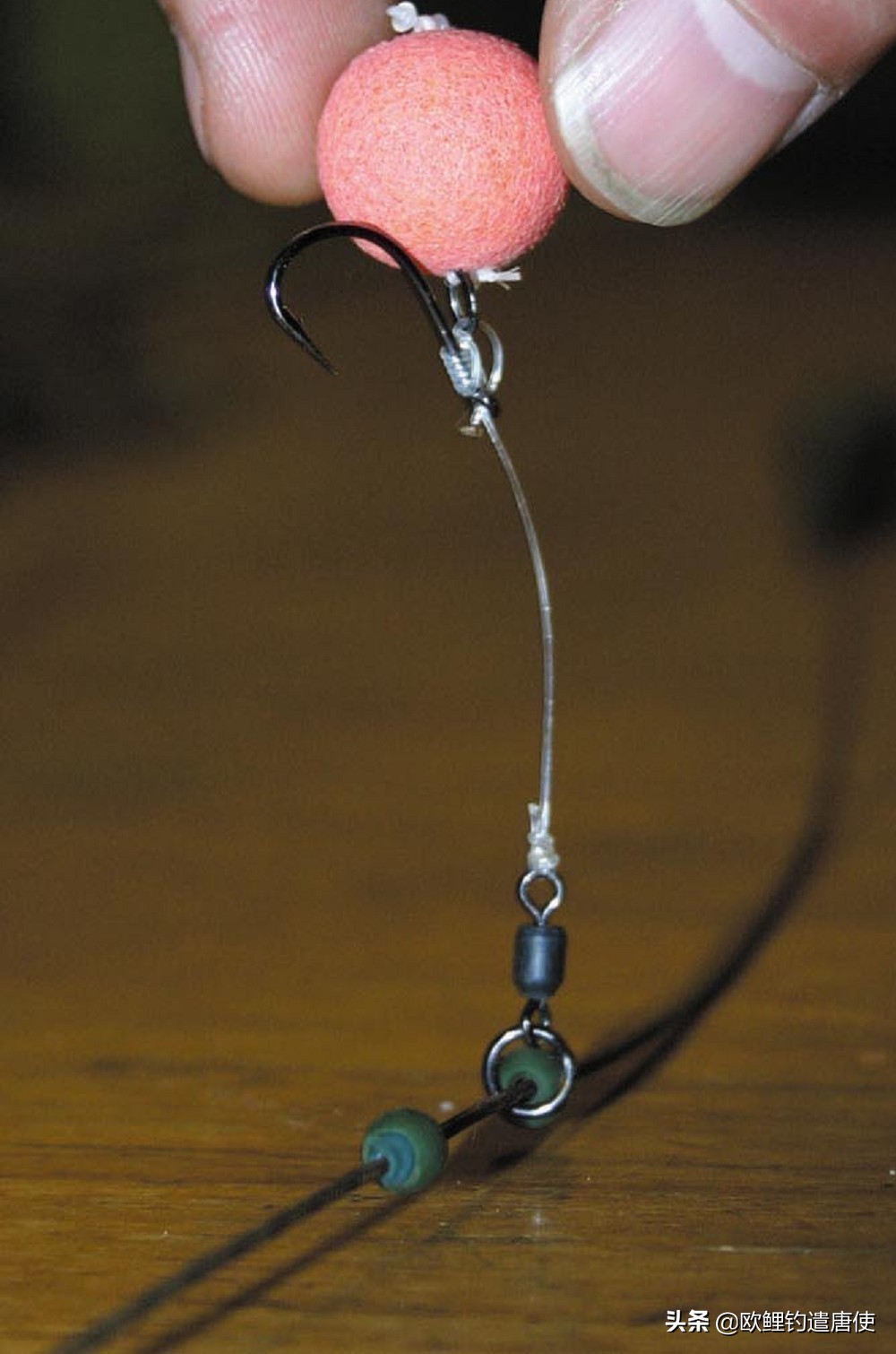 话说欧鲤钓最新消息,话说欧鲤钓鱼完整版