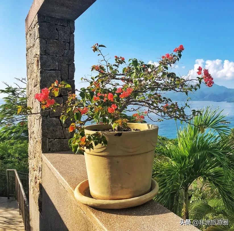 塞舌尔旅行体验,塞舌尔海岛游记