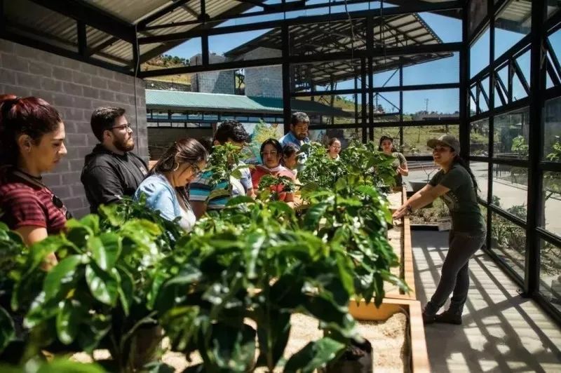 “土气”的休闲农业,正成为高端品牌争抢的“联姻”对象