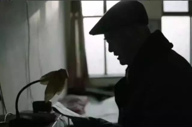 梅州人朋友圈刷屏的“啥是佩奇”？网友说：笑着笑着就哭了……