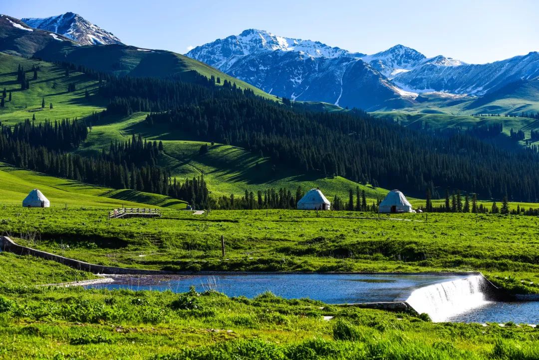 六月的北疆哪些地方值得去,六月的北疆解说