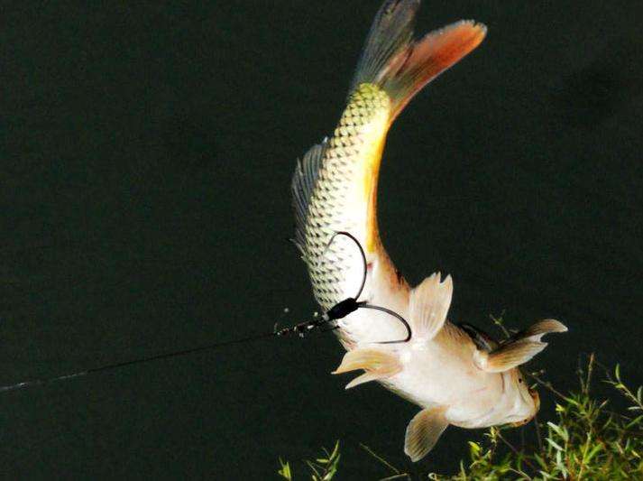 科技改变生活还可以改变钓鱼,可视锚鱼什么时候开始变成违法的