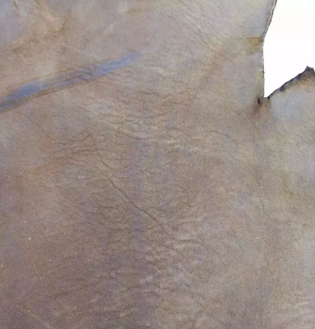 疯马皮是马皮吗,疯马皮怎么有光泽