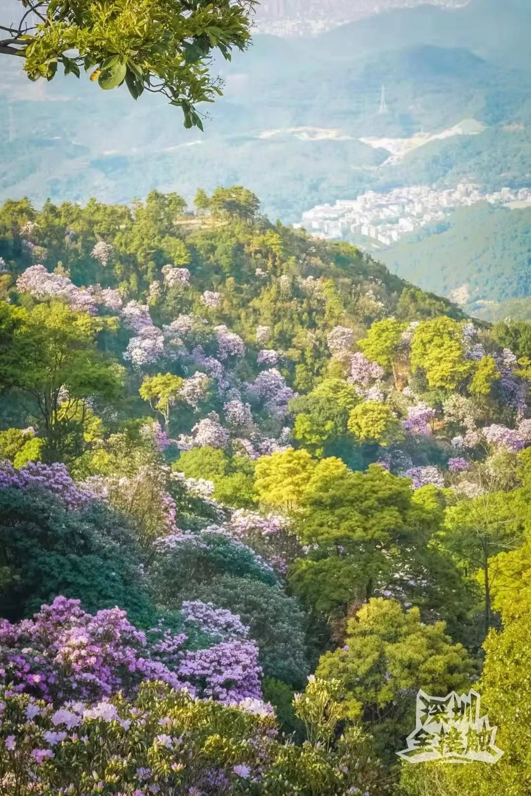 深圳一日游必去的地方有地铁站,深圳自驾游一日游最佳路线图
