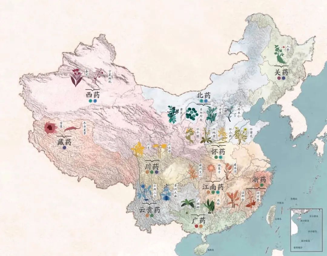 不只是医书带你真正了解本草纲目,盘点不同版本的本草纲目