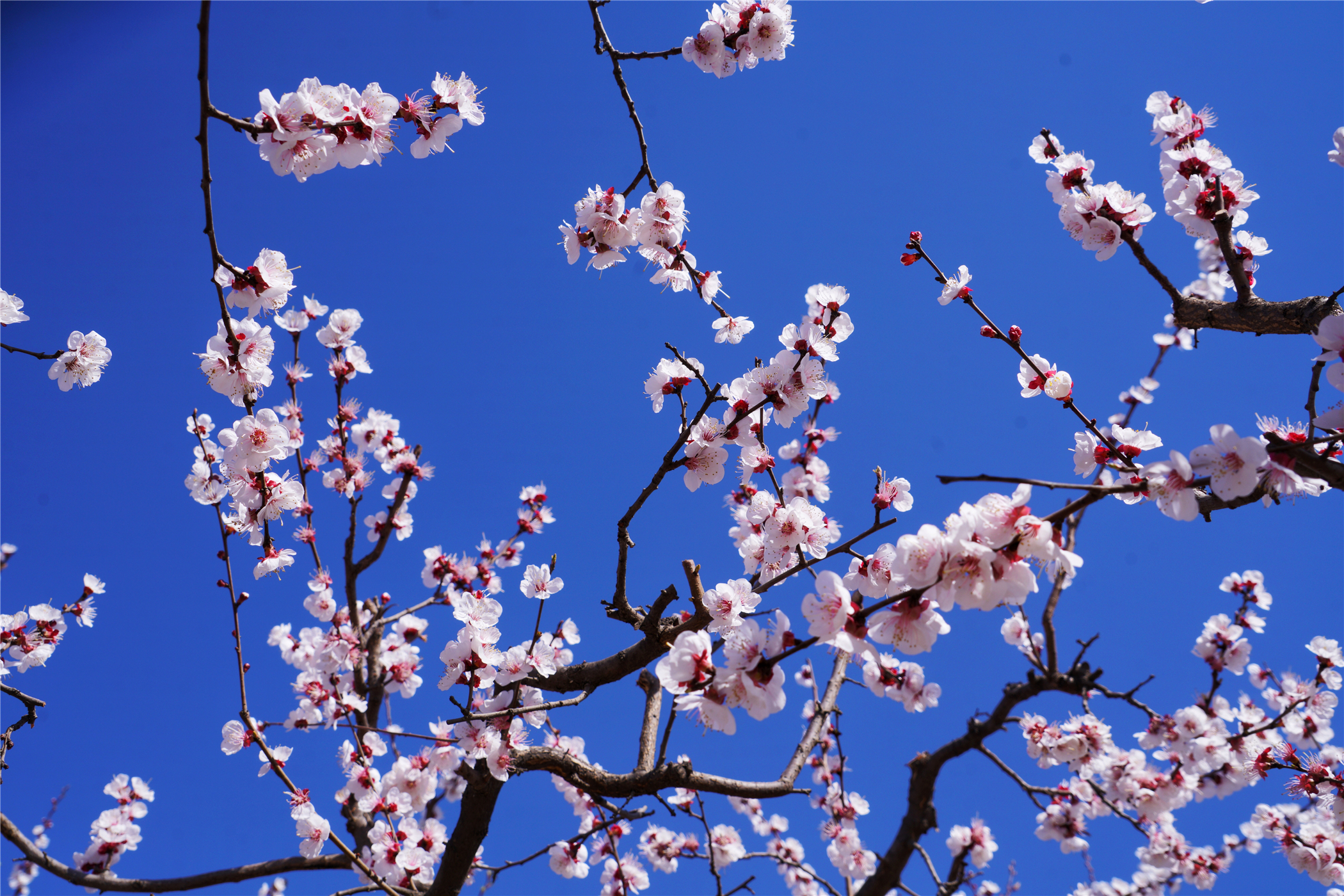 河北这座文旅小城值得一去,河北的一座小县城