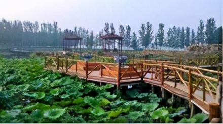 曹县实际情况,曹县的基本信息