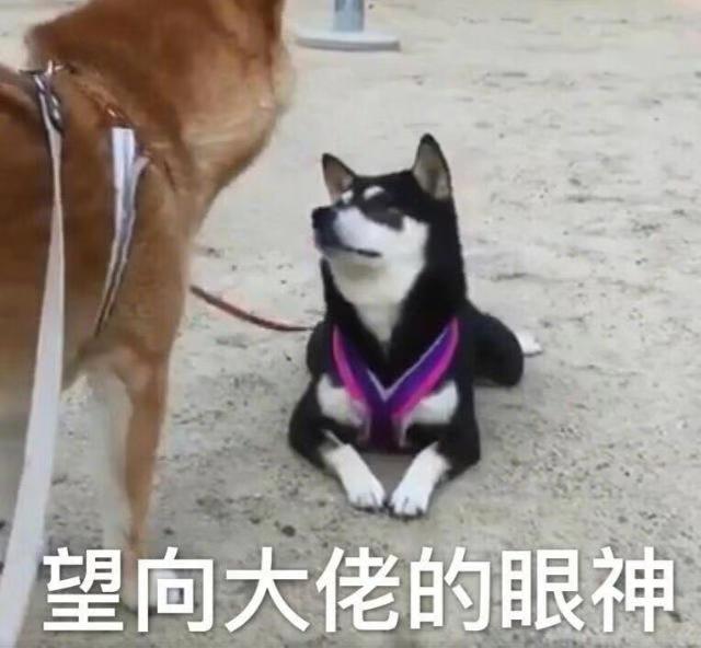 国产鞋都是怎么制造,国产鞋怎么能这么便宜