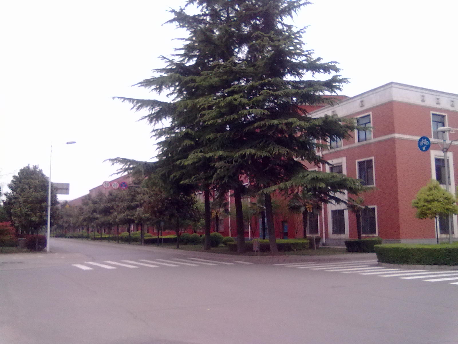 洛阳一拖履带拖拉机视频,洛阳一拖拖拉机价格表