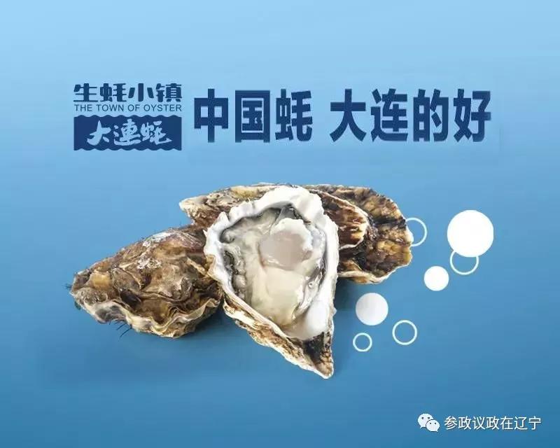 生蚝小镇：醇鲜大连味留香唇齿间