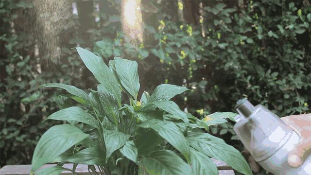 旅行必备好物遛娃神器,夏天遛娃神器推荐小巧