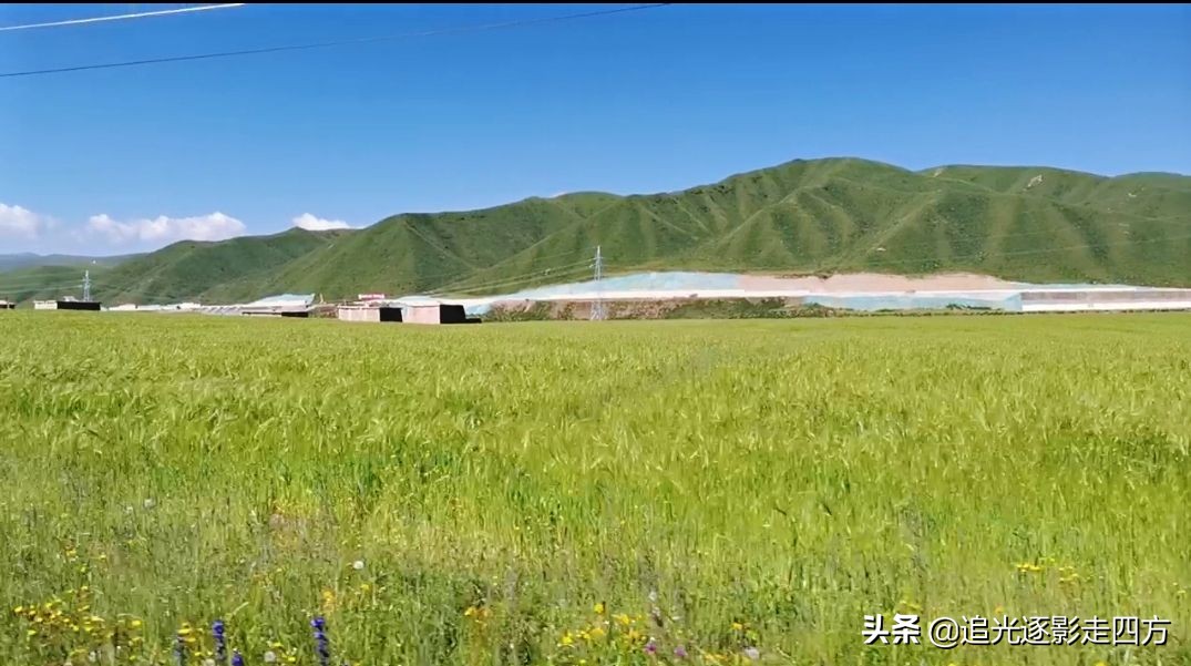 西安甘南七日自驾游最全攻略,甘南莲宝叶则风景区海拔