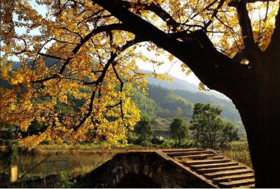 来义乌十几年没发现景色这么美,义乌值得去的自然景点