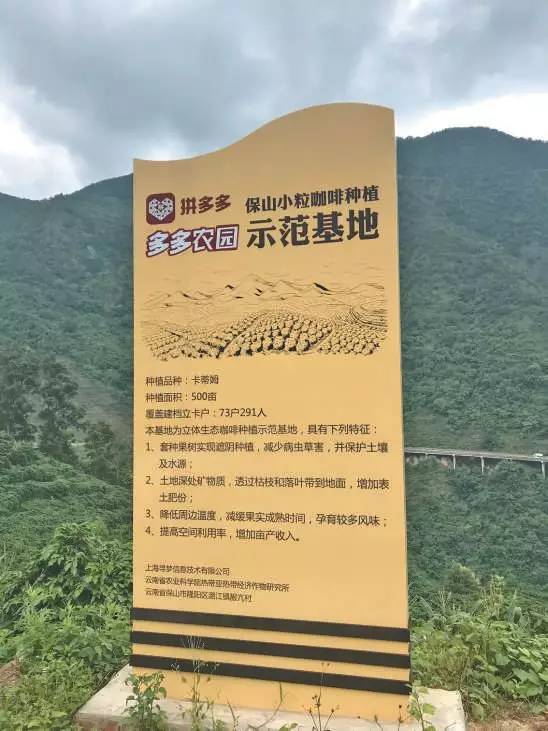 云南小粒咖啡产业现状及发展前景,云南小粒咖啡炭烧风味咖啡