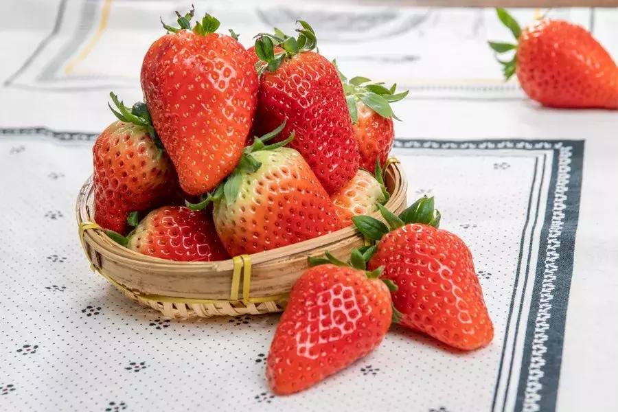 一下子吃了30颗草莓,吃了半斤草莓