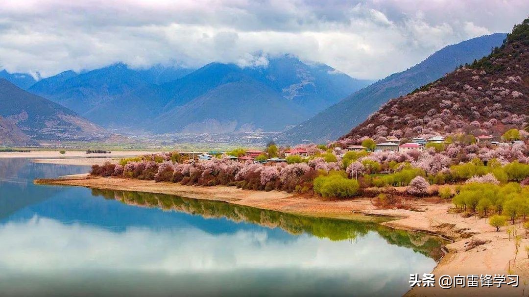 无花无酒过清明,无花无酒过清明诗歌