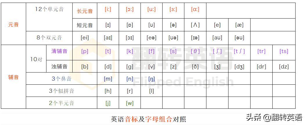 成人小白学英语先学什么,成人小白学英语