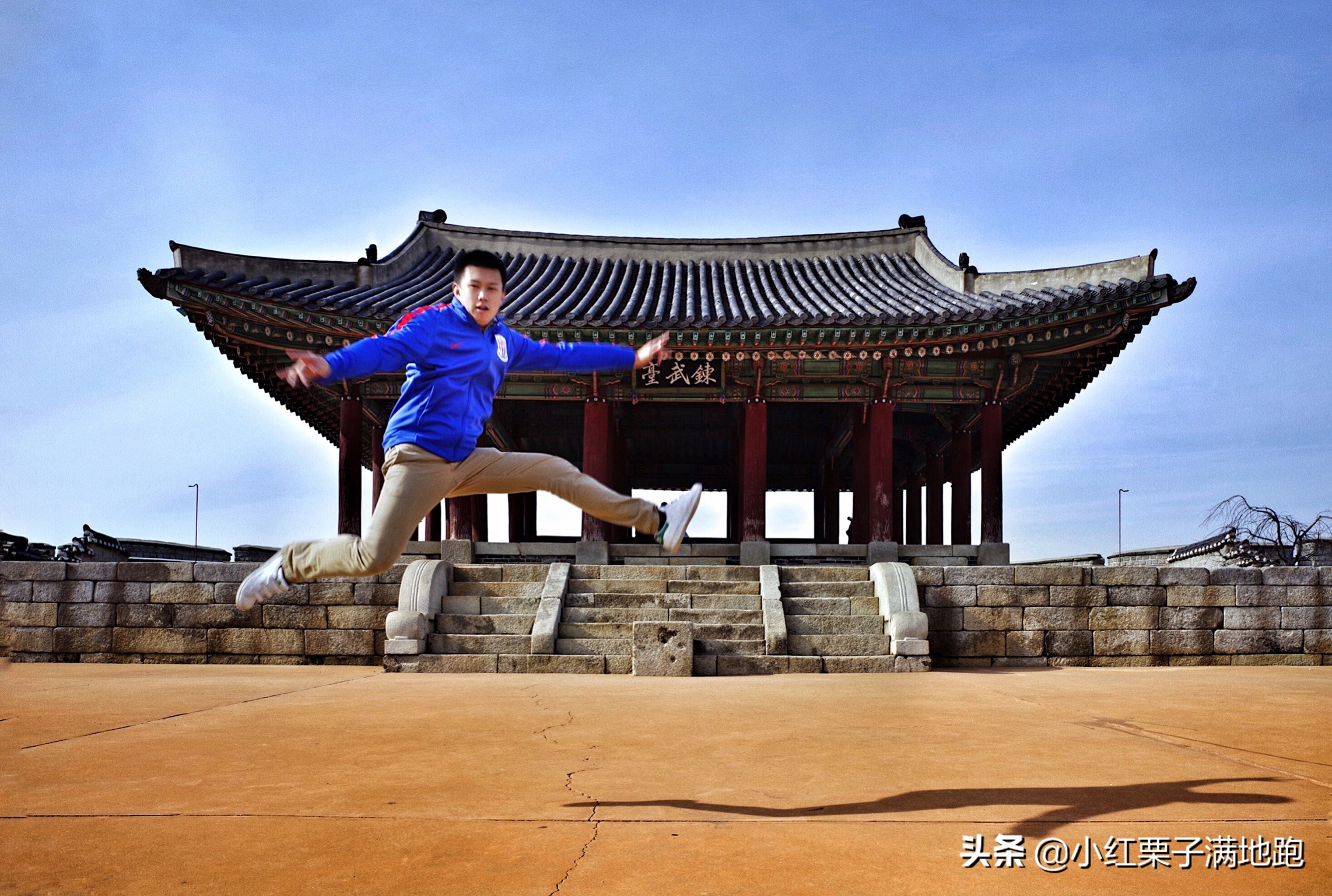 疫散花开张家界,疫散花开欢迎归来