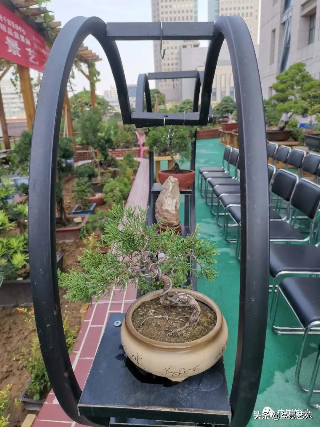 涓浗钁楀悕鐩嗘櫙澶у笀绮惧搧鐩嗘櫙,鐩嗘櫙鑹烘湳瀹跺拰鐩嗘櫙鑹烘湳澶у笀