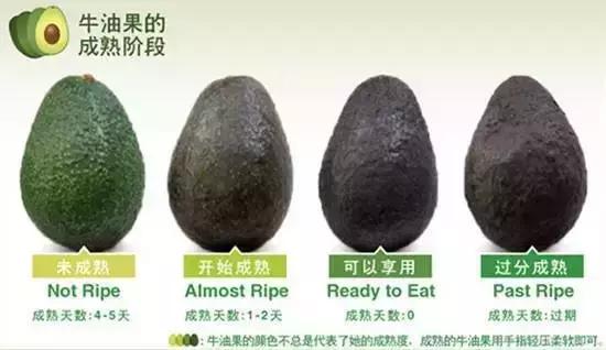 牛油果是个骗局么,牛油果的世纪大骗局