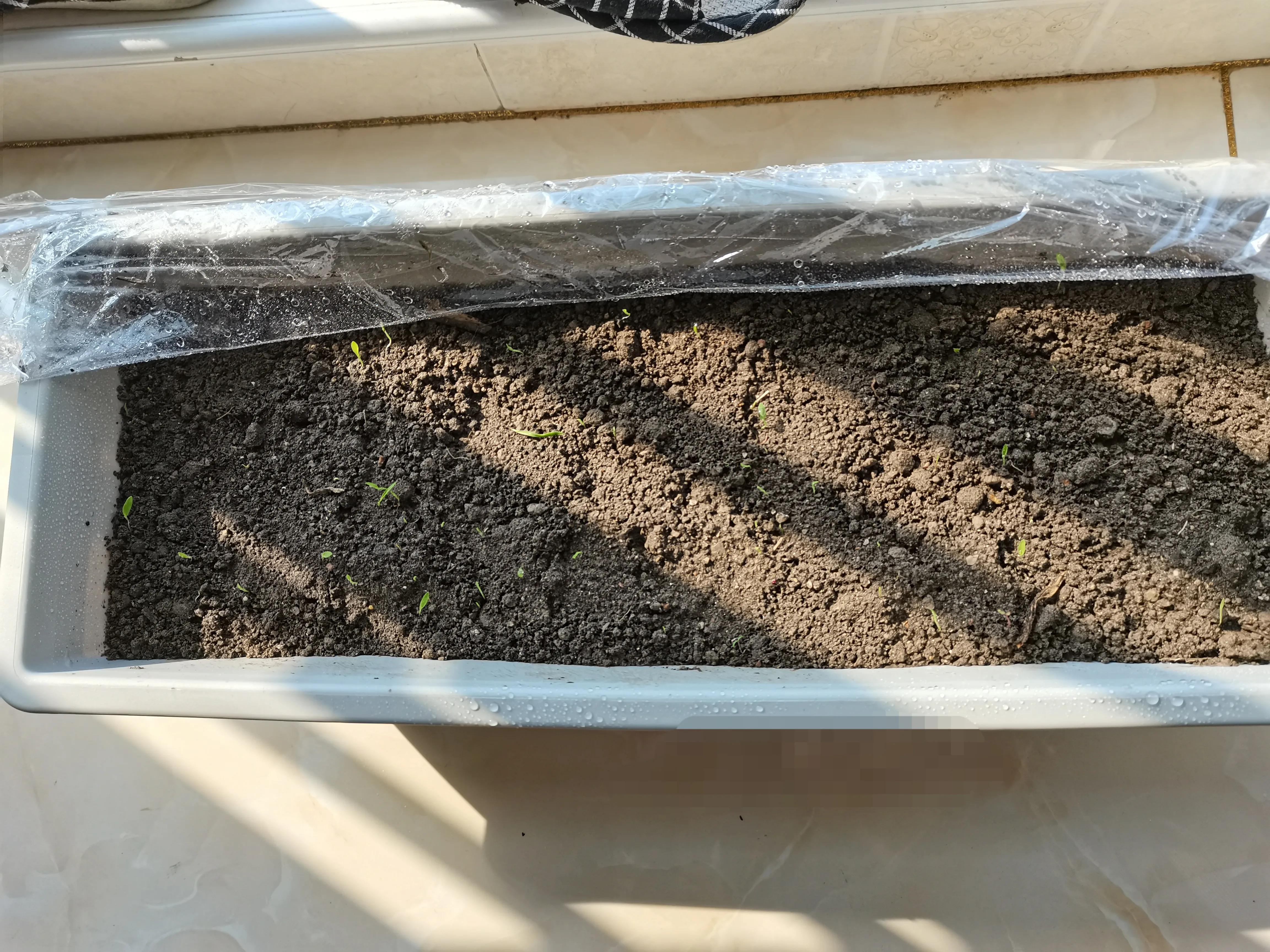 不要放弃农村的宅基地,不要放弃农村自己的宅基地