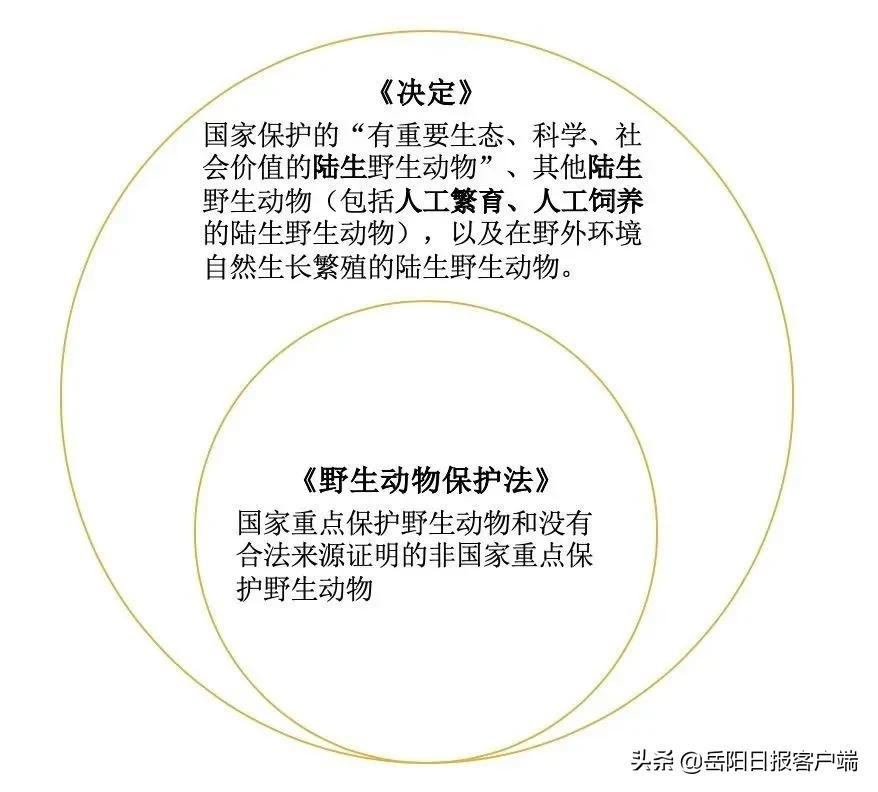 湖南口味蛇还能吃吗,姜辣蛇湖南哪地方能吃到