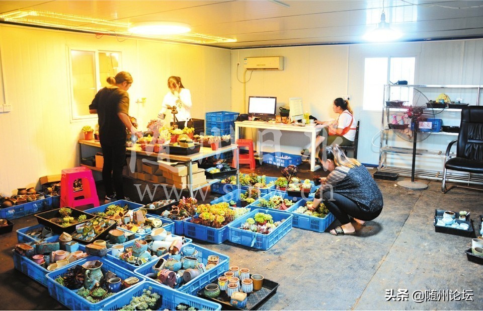 “e路”相伴奔小康——广水市发展电子商务助力脱贫攻坚侧记