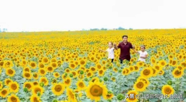 鎴戜滑韬竟鐨勬柊闂绘湁鍝簺,鎴戜滑韬竟鐨勪簩闈掍細灞辫タ