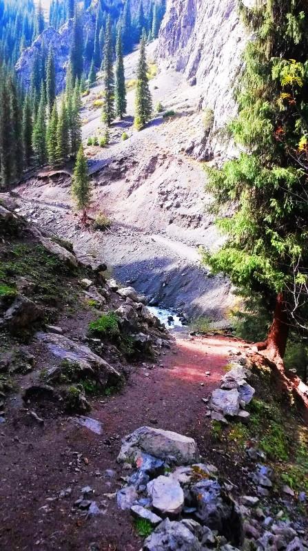 带上UL从狼塔C回家