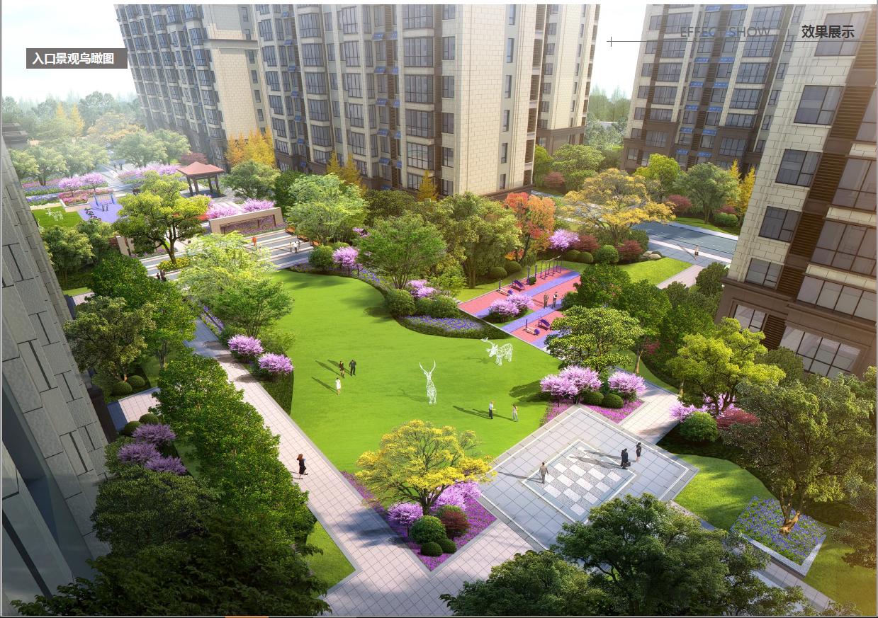 总价98万起买洋房！合肥纯新盘刚刚首开！只有44套