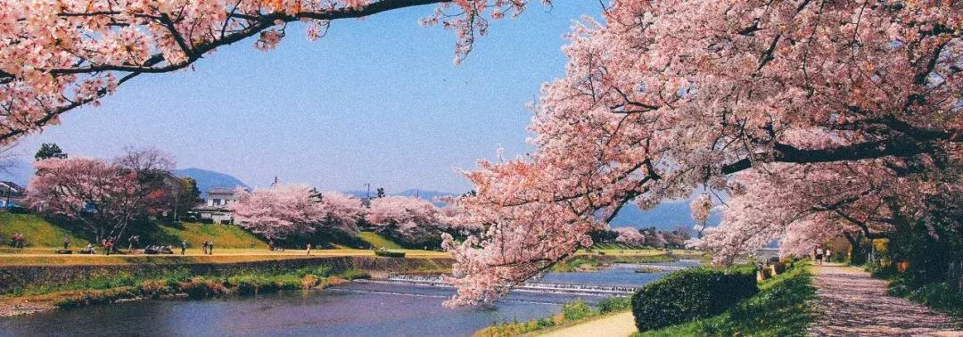 浜兘澶滄櫄绾冲噳,浜兘绾冲噳