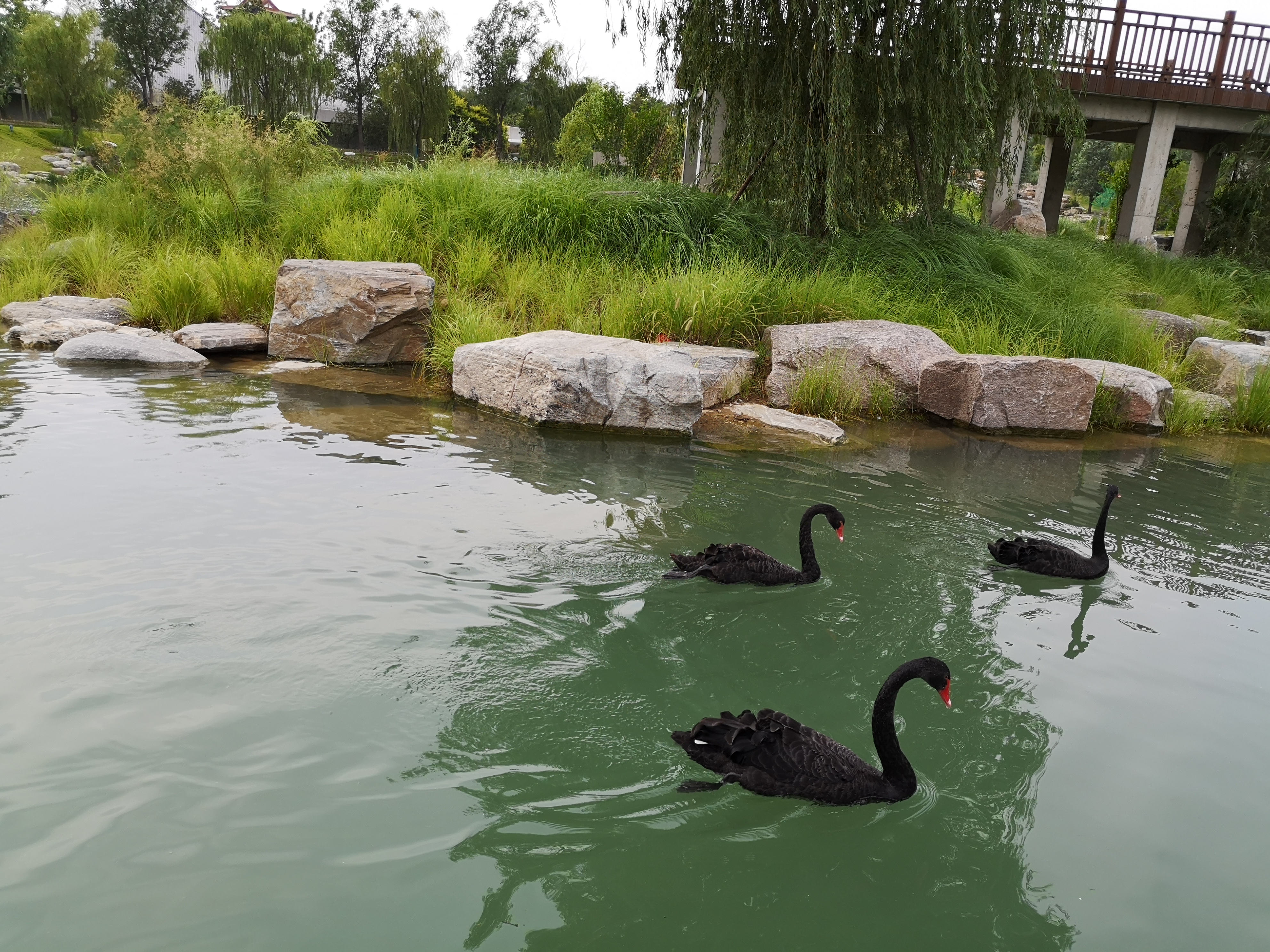 郑州园博园游记400字左右作文,郑州园博园一日游详细攻略