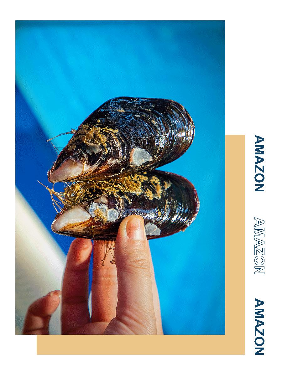 上海海鲜自助餐厅,上海海鲜自助餐厅哪家性价比最高