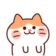 真实测评包书皮,包书皮测试