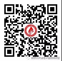 陕西小天鹅艺术团幼儿艺术怎么样,少儿舞蹈西安小天鹅艺术团